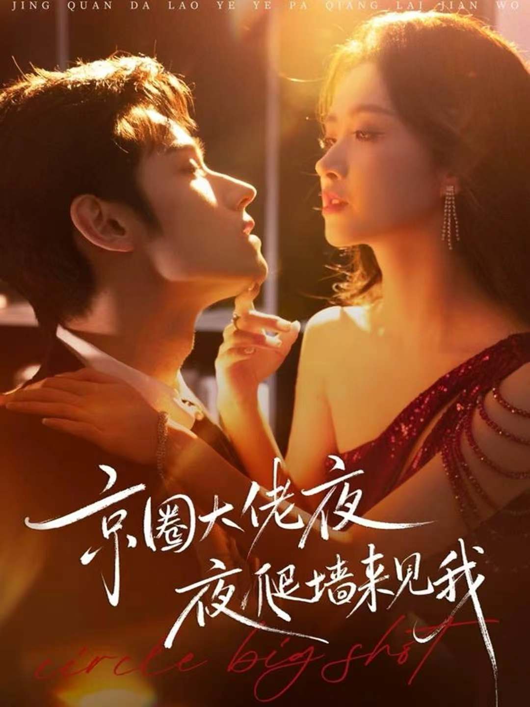 京圈大佬夜夜爬墙来见我