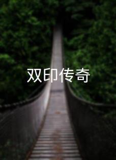 双印传奇