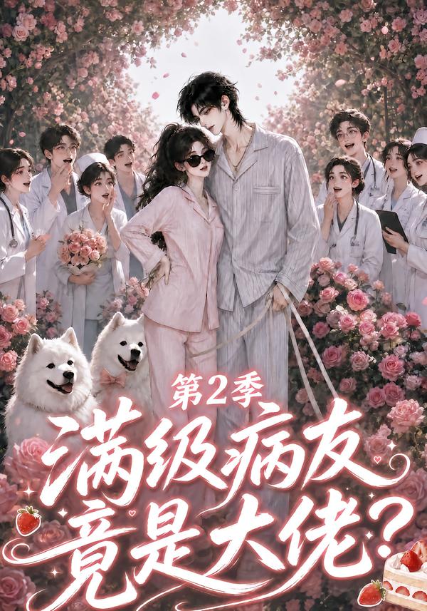 满级病友竟是大佬第二季海报